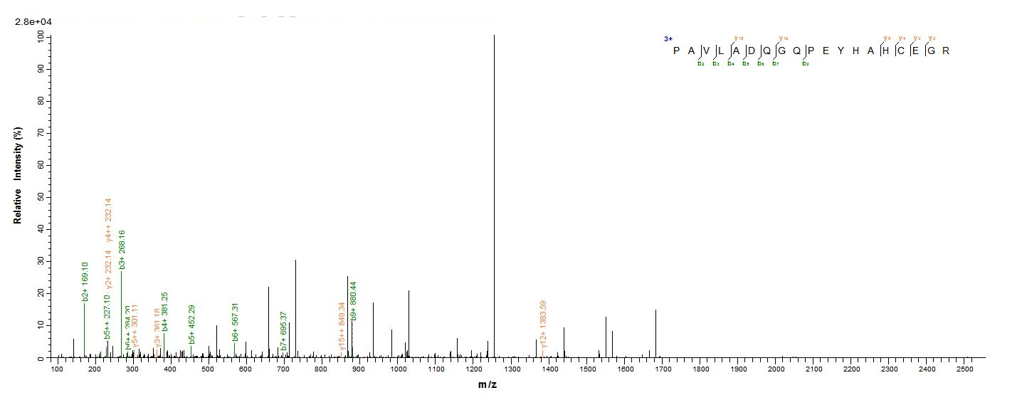 Virus M protein