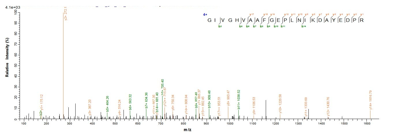 Mouse Pde5a protein