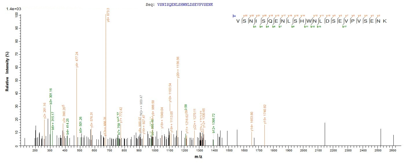 Human FAM217A protein