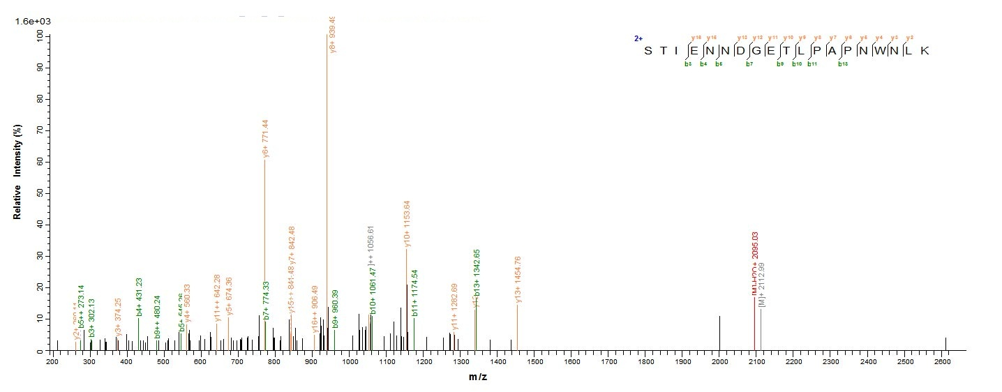 Human FAM217A protein