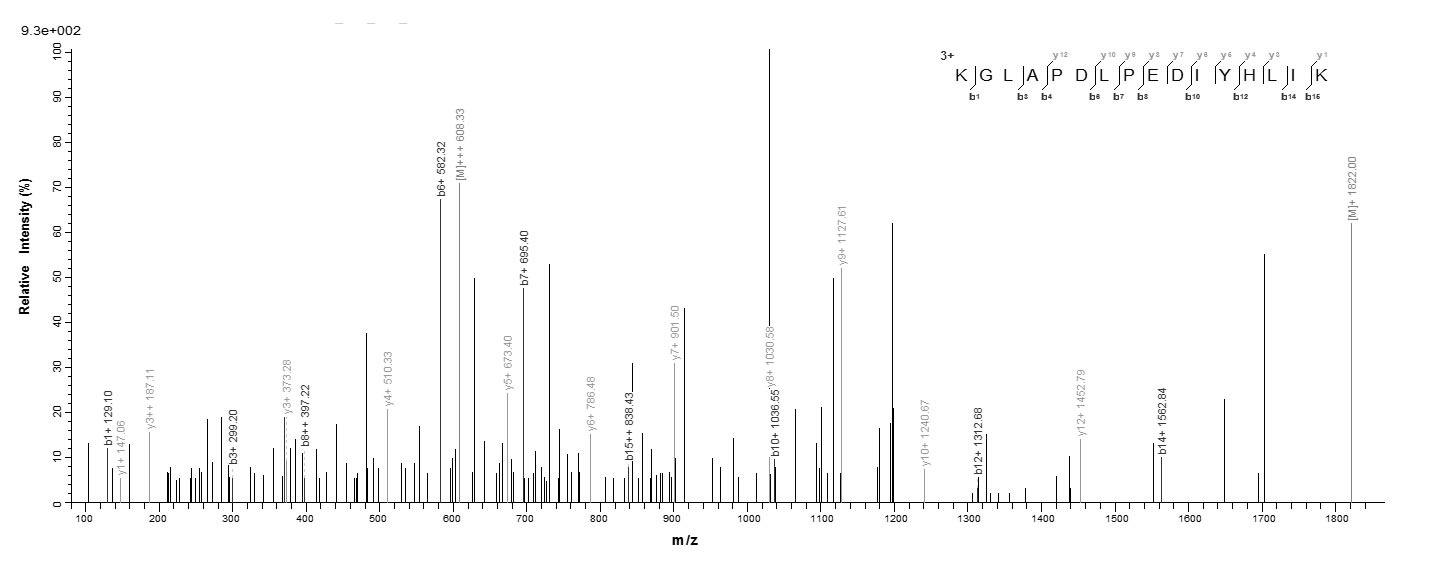 Animal RPS13 protein
