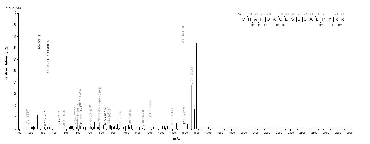 Animal RPS13 protein