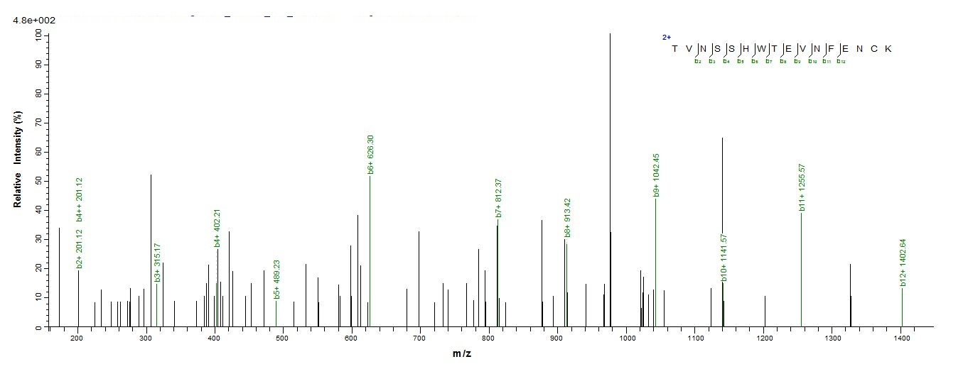 Mouse Il31ra protein