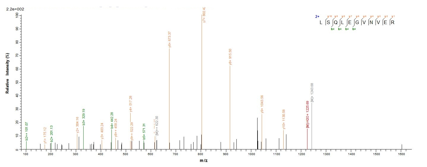 Human VPS35 protein