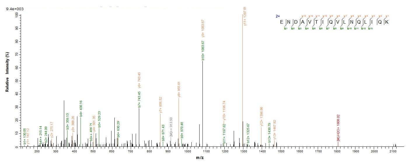 Human VPS35 protein