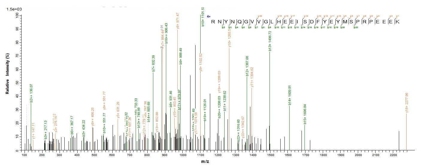 Human TENT4B protein
