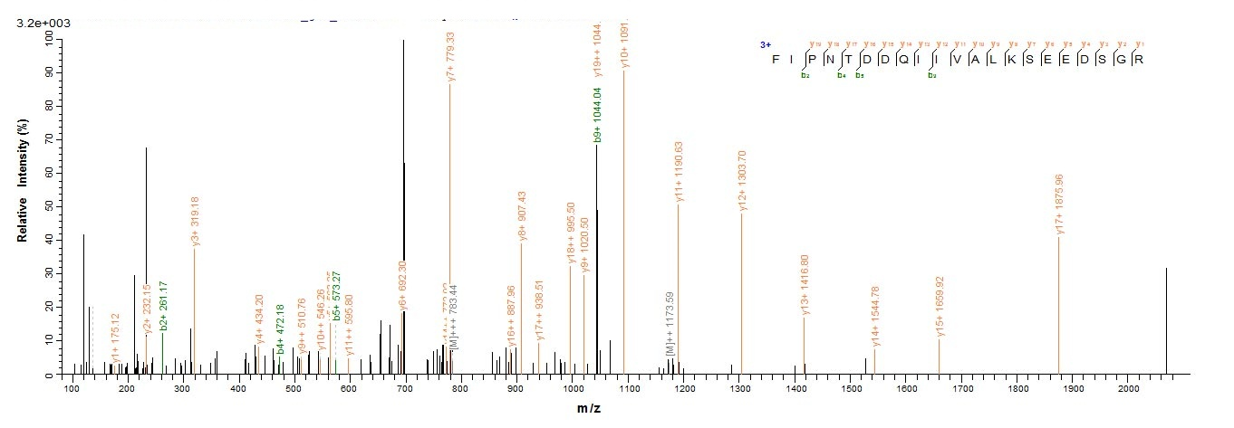 Human CANT1 protein