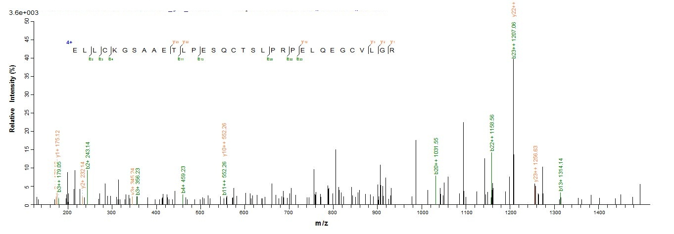 Human ADAMTS18 protein