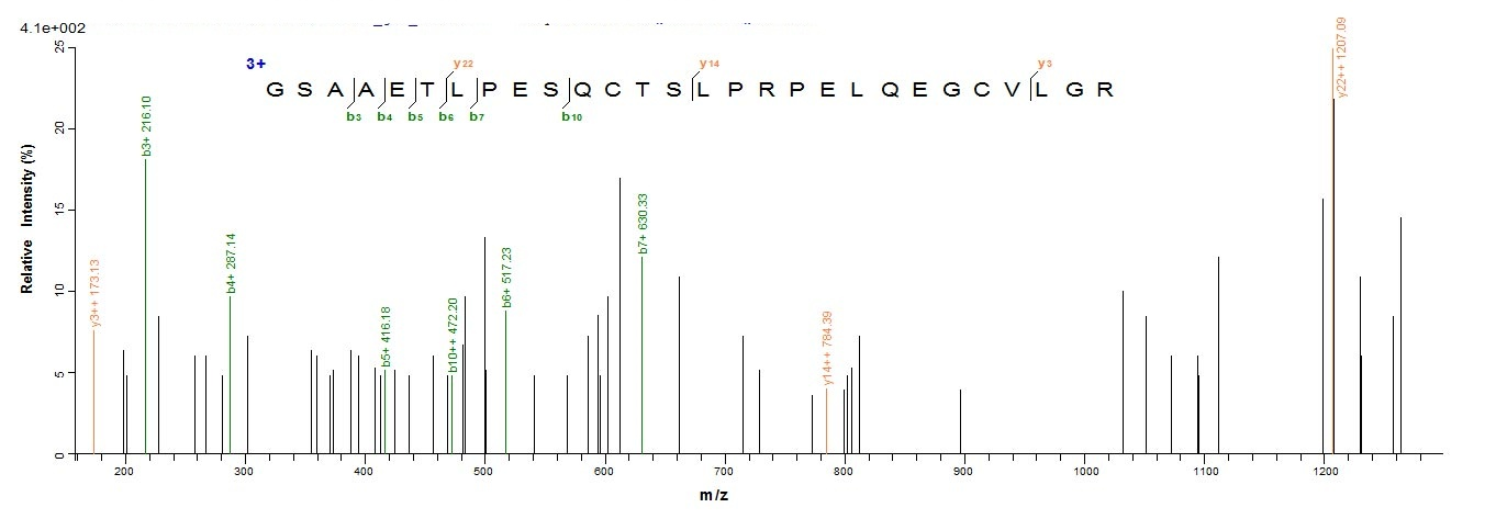 Human ADAMTS18 protein