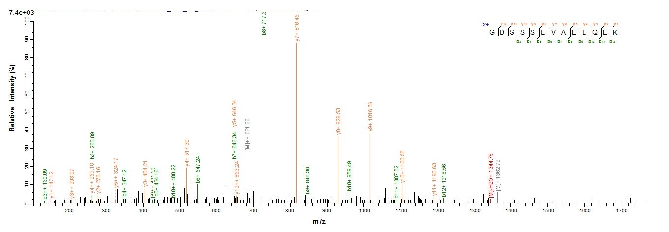 Human RB1CC1 protein