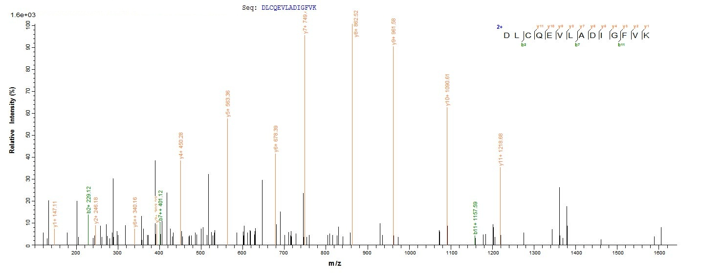 Mouse Lims1 protein