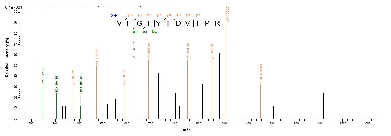 Human STARD7 protein