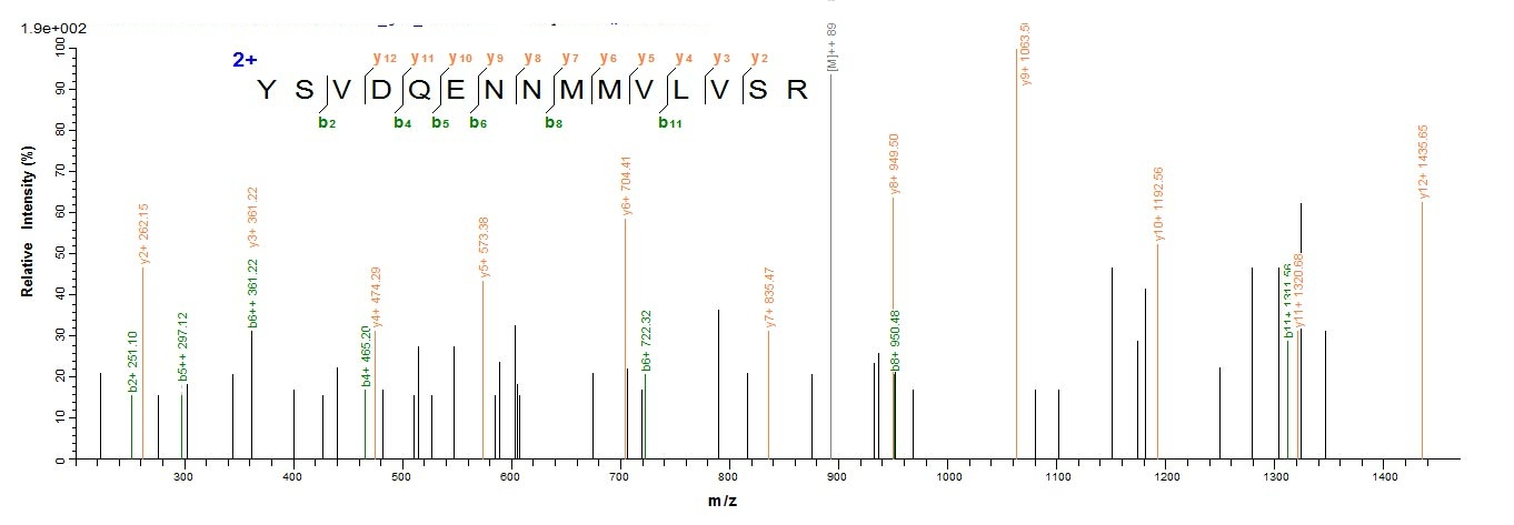 Human STARD7 protein