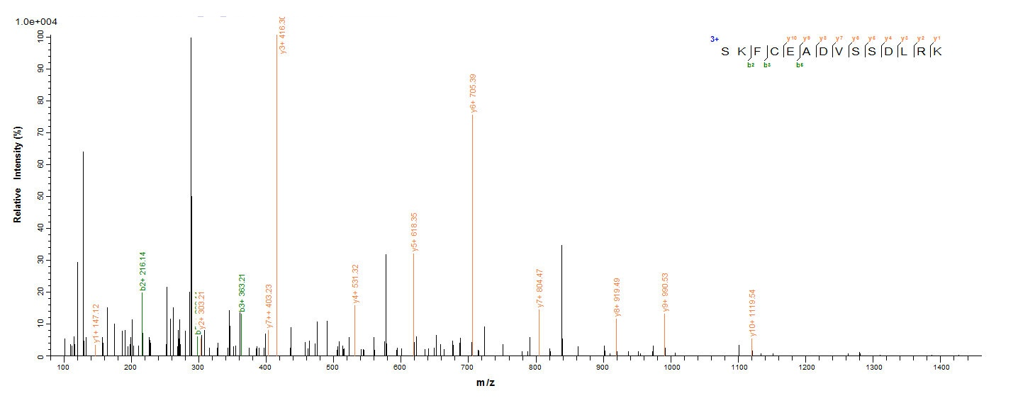 Human HPF1 protein