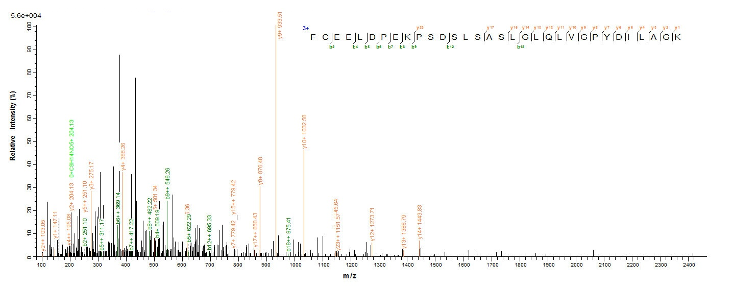 Human HPF1 protein