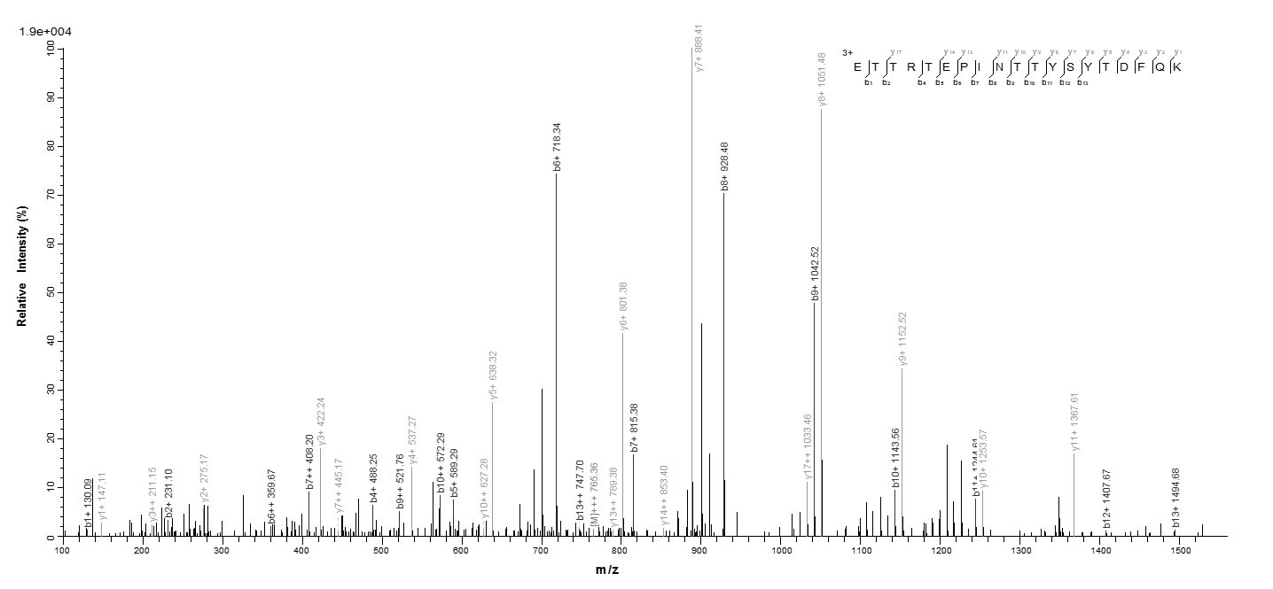 Human DCAF16 protein