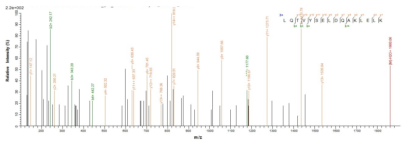 Human TRAIP protein