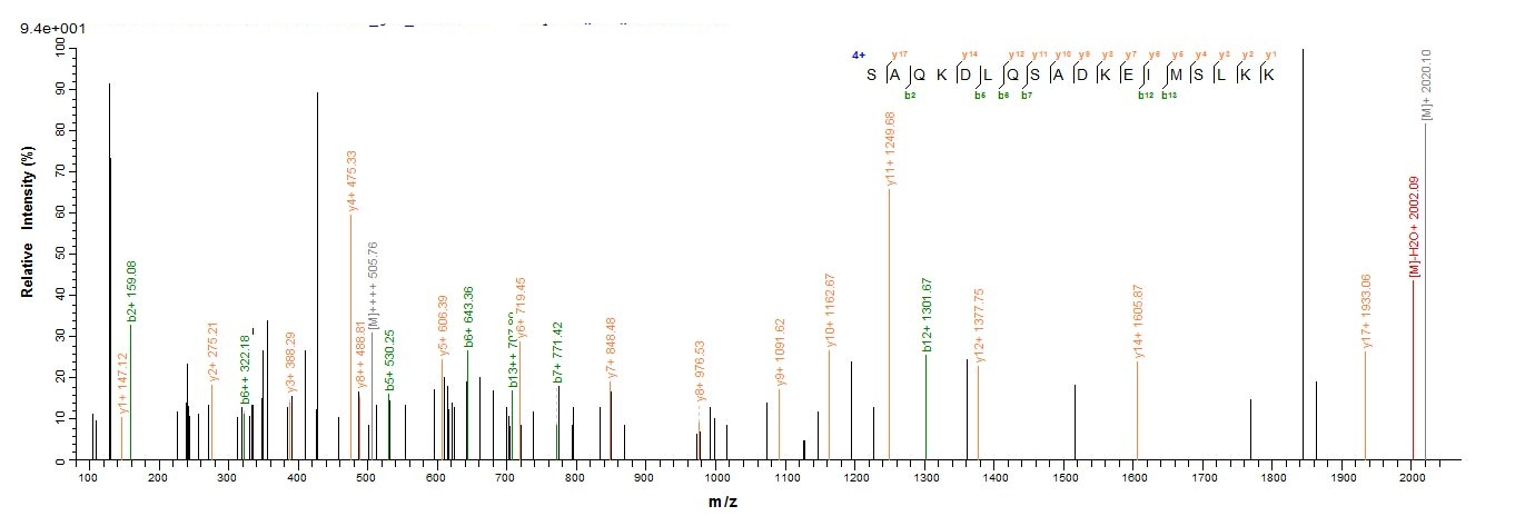 Human TRAIP protein