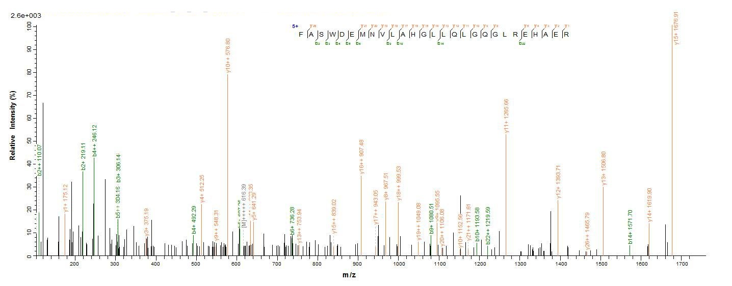 Human ANGPTL4 protein