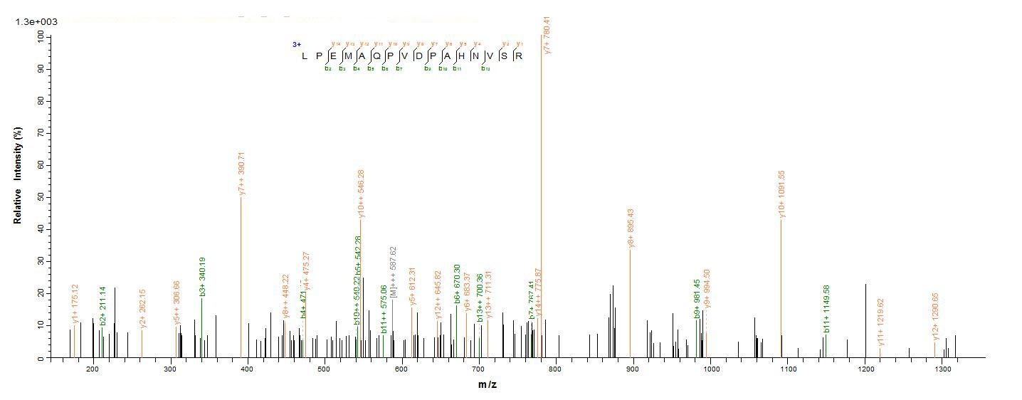Human ANGPTL4 protein