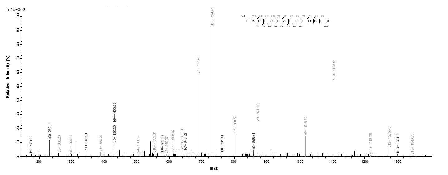 Mouse Htra1 protein