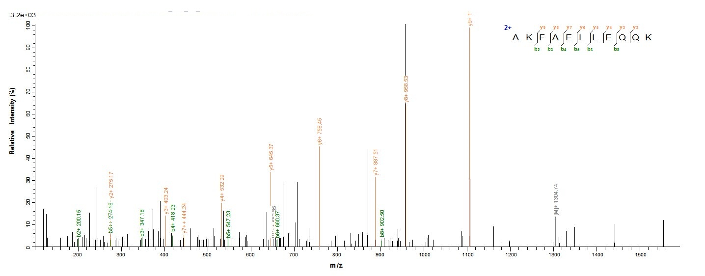 Bacteria KMP-11 protein