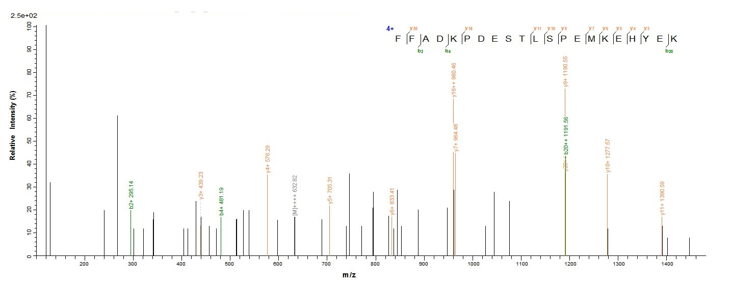 Bacteria KMP-11 protein