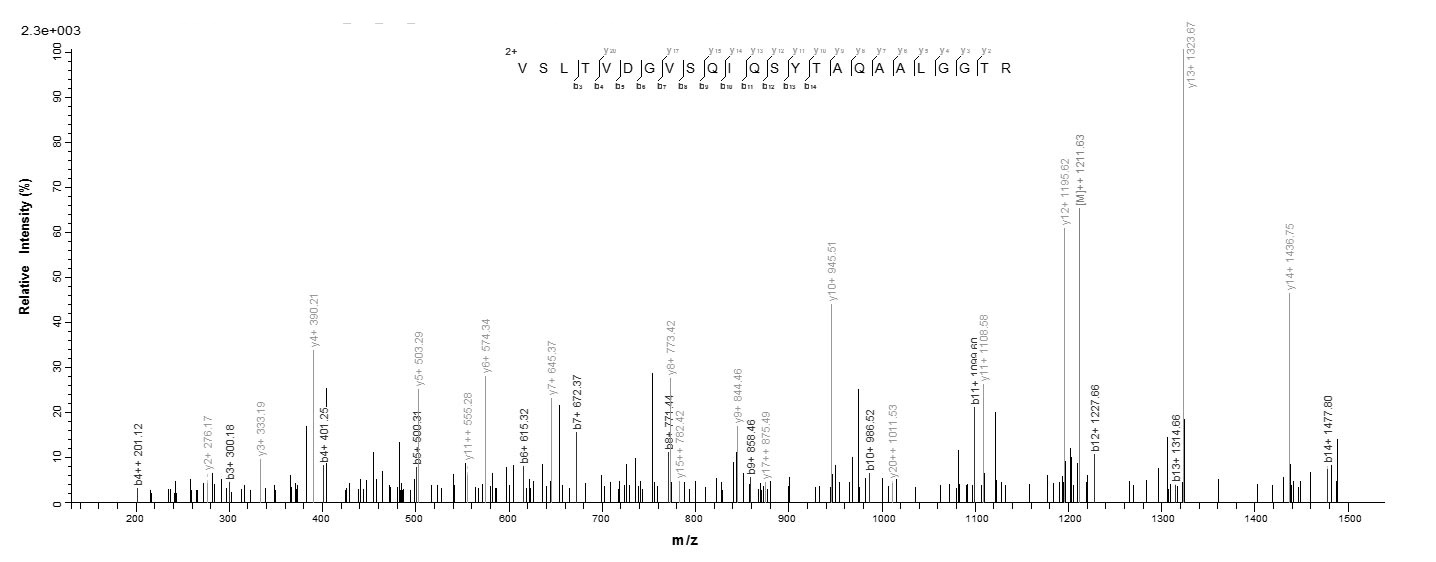 Bacteria tbp1 protein