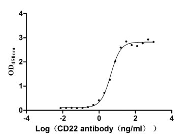 Human CD22 protein