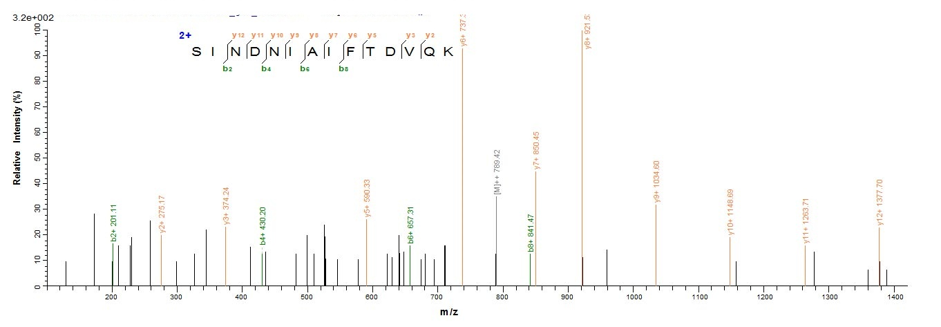 Mouse Ckap4 protein