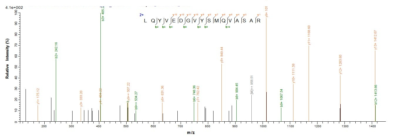 Mouse Ckap4 protein