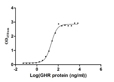 Human GH1 protein