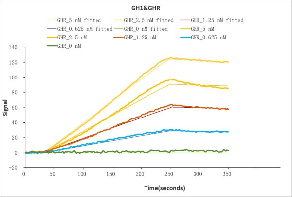 Human GH1 protein