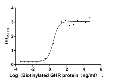 Human GH1 protein