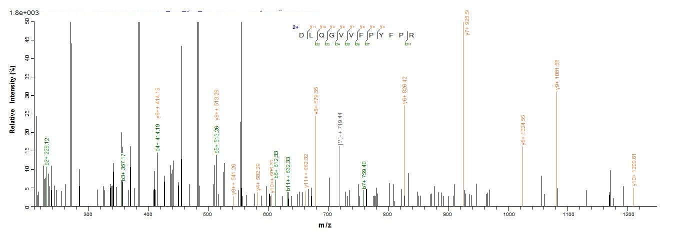 Human HAPLN1 protein