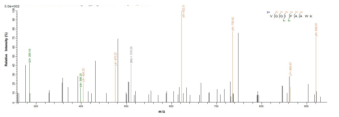 Human HAPLN1 protein
