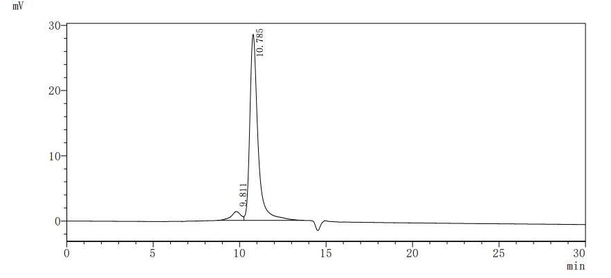 Human KLRK1 protein