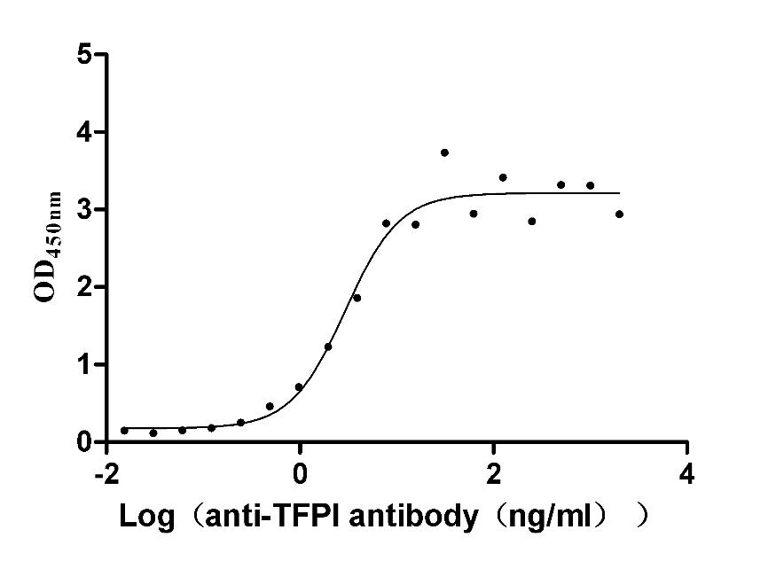 Rabbit TFPI protein