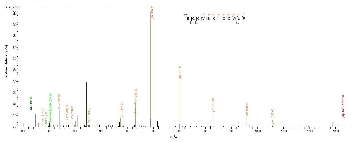 Human CD63 protein