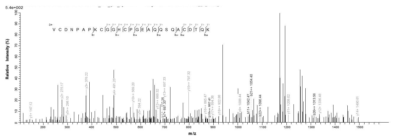 Mouse Cfp protein