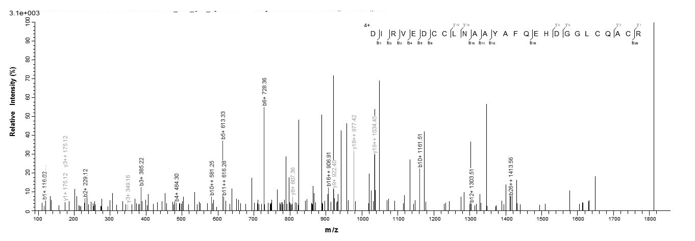 Mouse Cfp protein