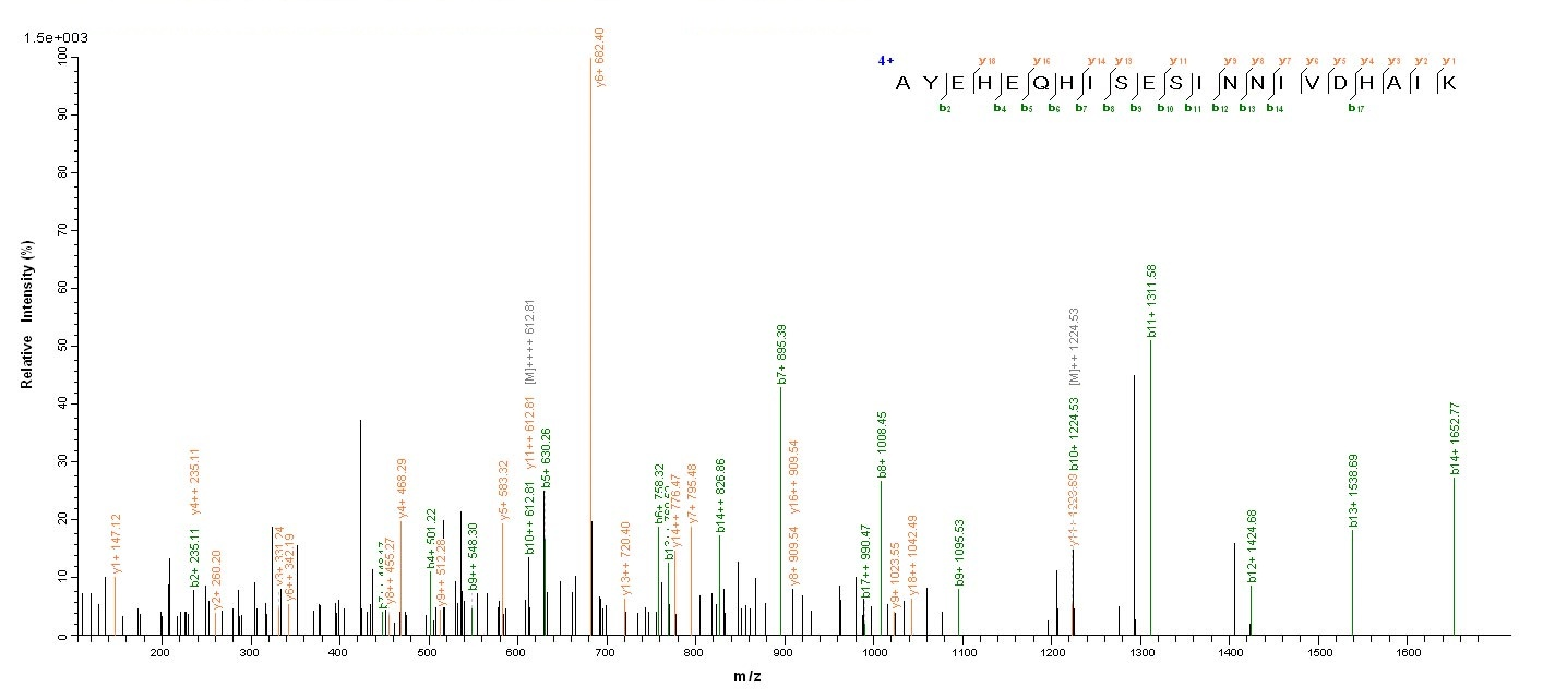 Virus ftnA protein