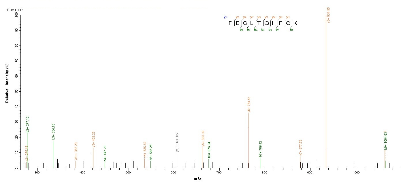 Virus ftnA protein