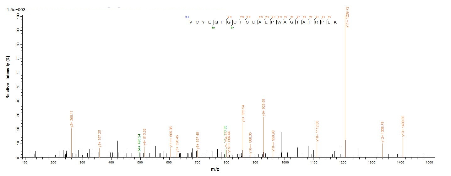 Canine PNLIPRP1 protein