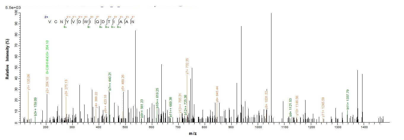 Rat Prss2 protein