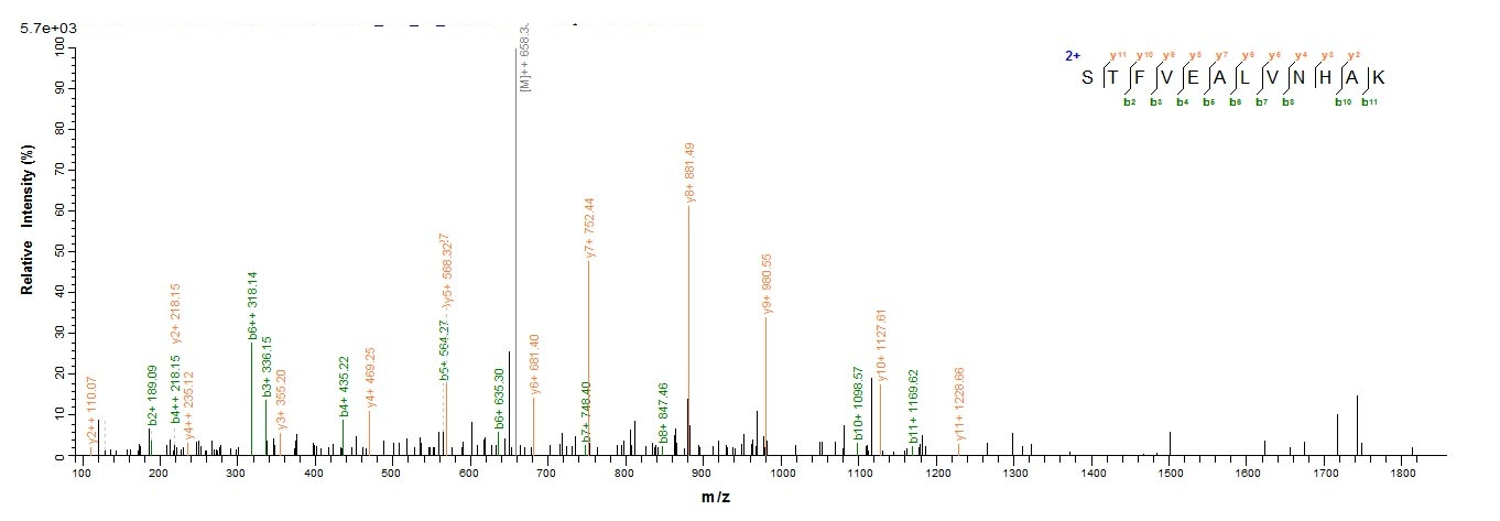 Porcine PSAP protein