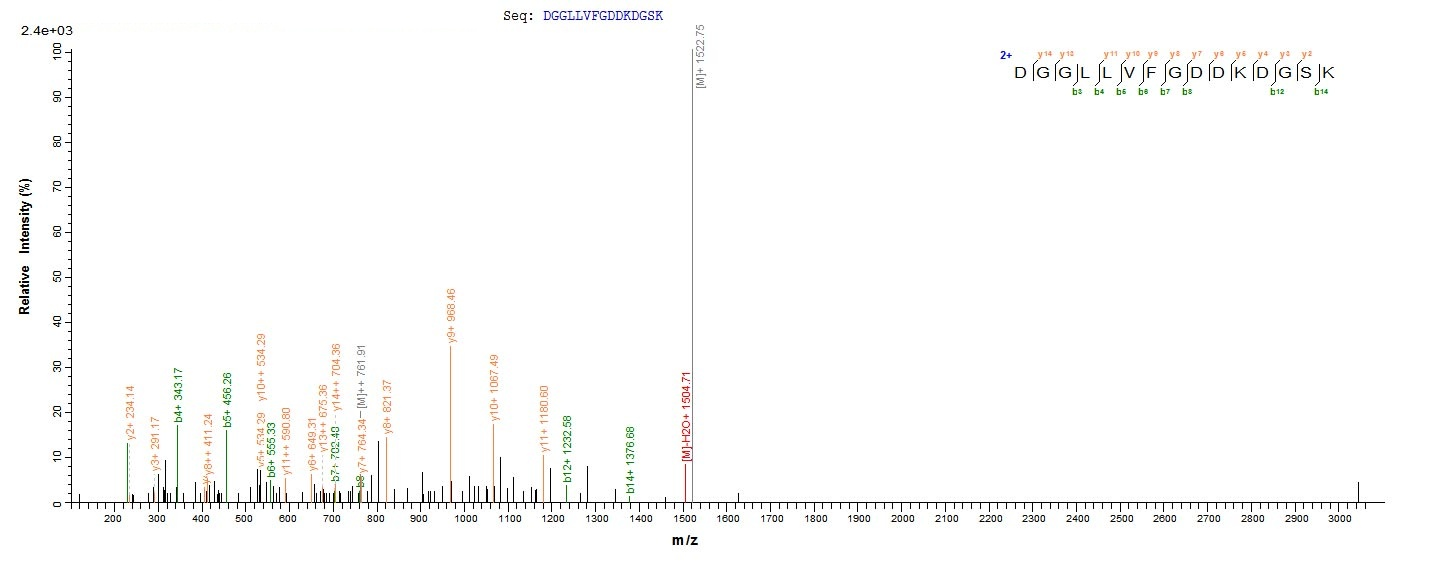 Mouse Tmem2 protein