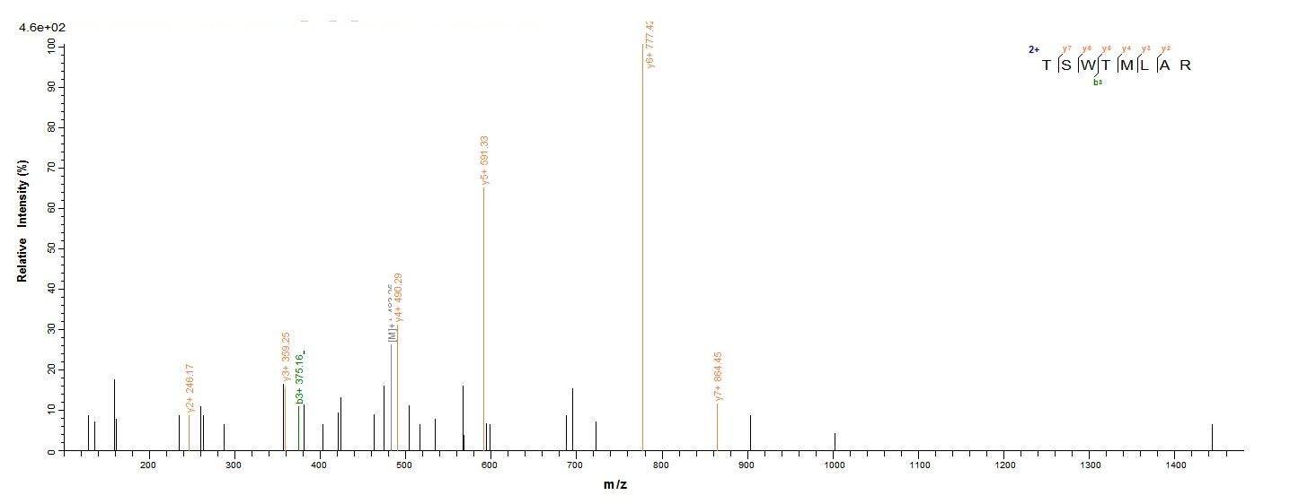 Mouse Tmem2 protein