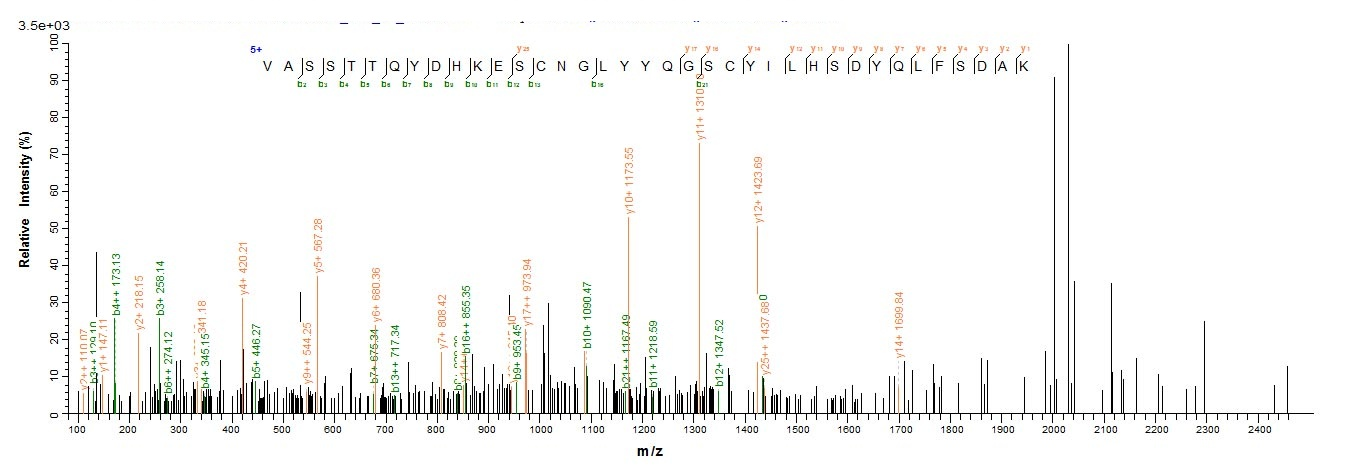 Virus VACWR156 protein