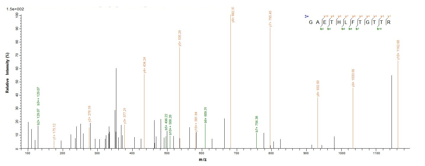 Plant Viscum album Beta-galactoside-specific lectin 1 protein